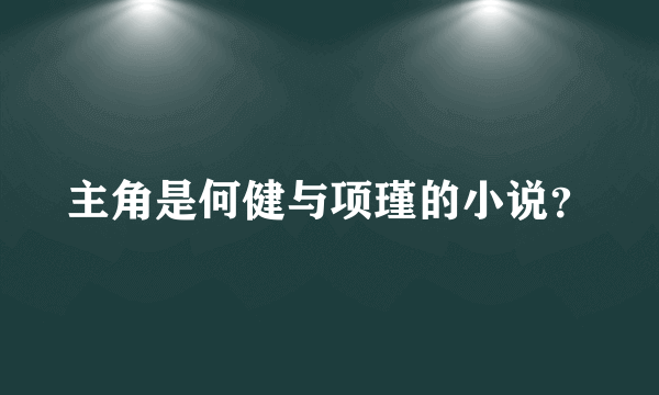 主角是何健与项瑾的小说？