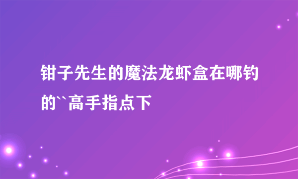 钳子先生的魔法龙虾盒在哪钓的``高手指点下