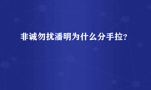 非诚勿扰潘明为什么分手拉？