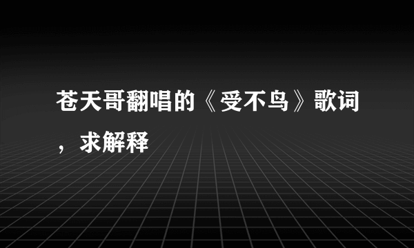 苍天哥翻唱的《受不鸟》歌词，求解释