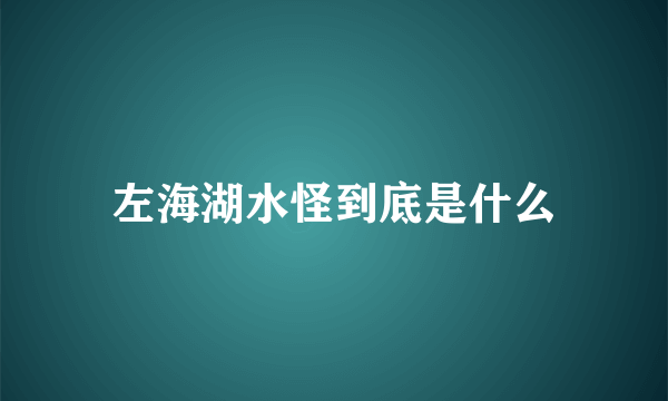 左海湖水怪到底是什么