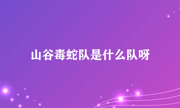 山谷毒蛇队是什么队呀