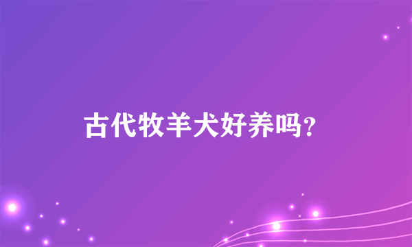 古代牧羊犬好养吗？