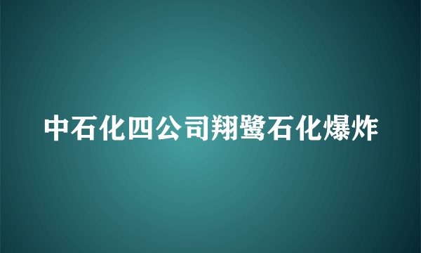 中石化四公司翔鹭石化爆炸