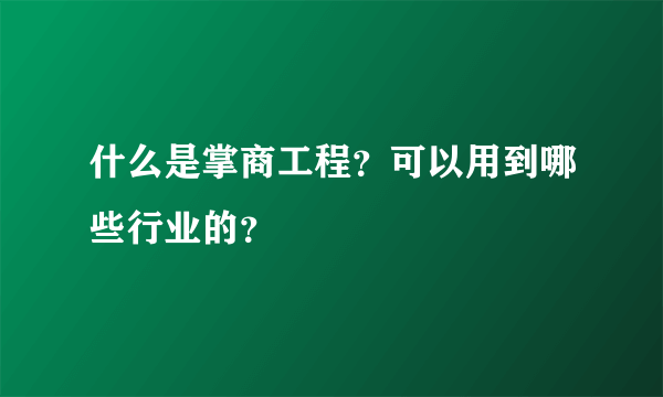 什么是掌商工程？可以用到哪些行业的？