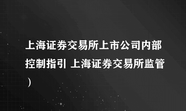 上海证券交易所上市公司内部控制指引 上海证券交易所监管）