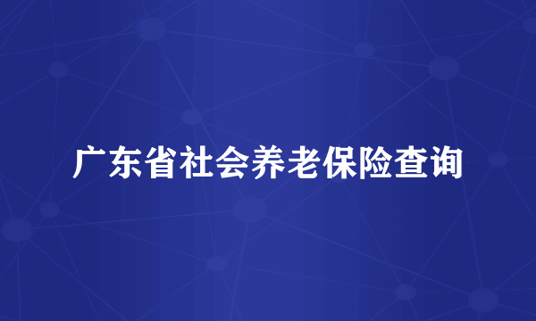 广东省社会养老保险查询