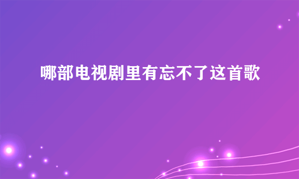 哪部电视剧里有忘不了这首歌