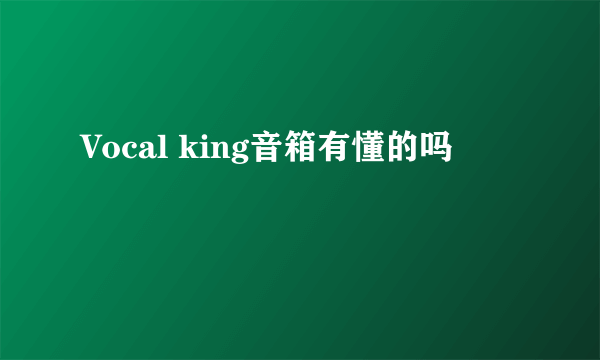 Vocal king音箱有懂的吗