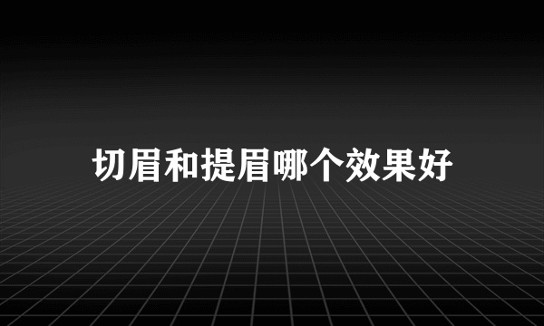 切眉和提眉哪个效果好