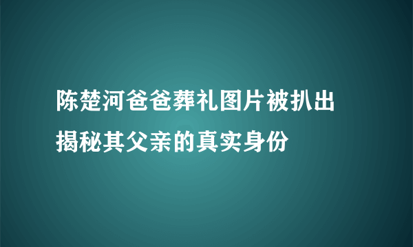 陈楚河爸爸葬礼图片被扒出 揭秘其父亲的真实身份