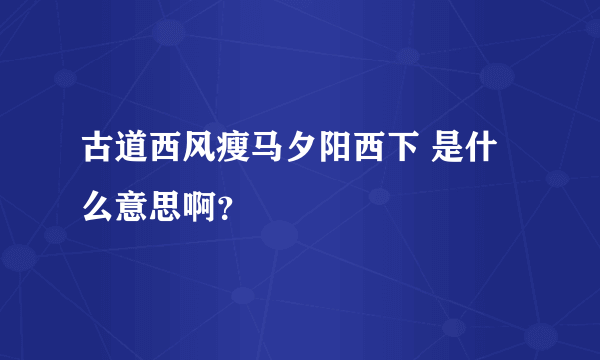 古道西风瘦马夕阳西下 是什么意思啊？