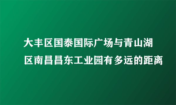 大丰区国泰国际广场与青山湖区南昌昌东工业园有多远的距离