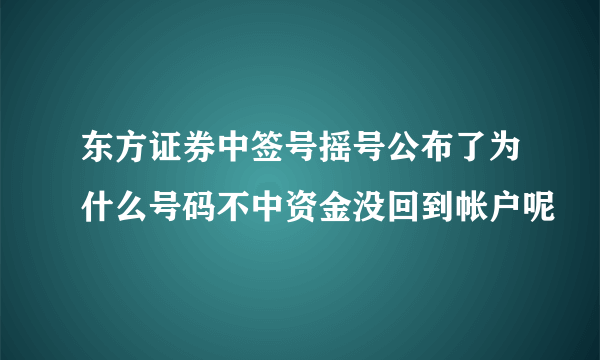 东方证券中签号摇号公布了为什么号码不中资金没回到帐户呢