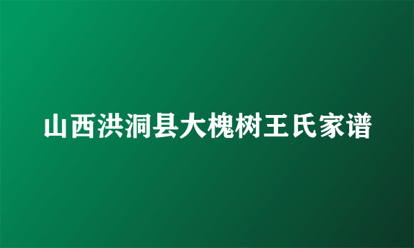 山西洪洞县大槐树王氏家谱