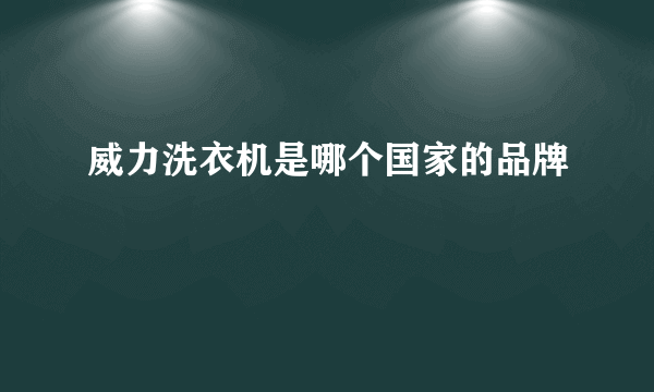 威力洗衣机是哪个国家的品牌