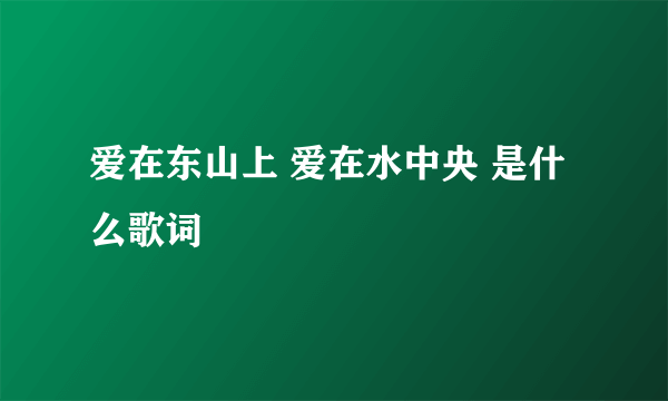 爱在东山上 爱在水中央 是什么歌词