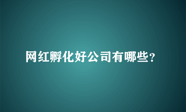 网红孵化好公司有哪些？