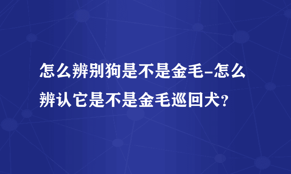 怎么辨别狗是不是金毛-怎么辨认它是不是金毛巡回犬？