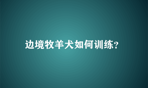 边境牧羊犬如何训练？