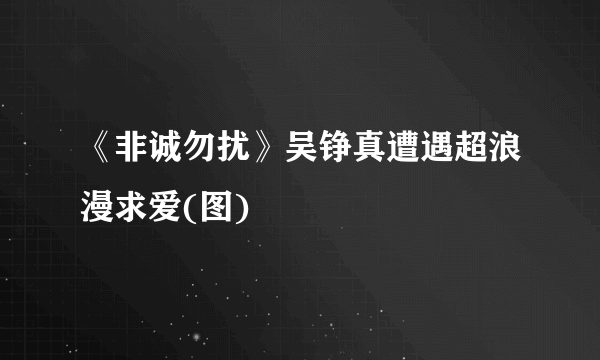 《非诚勿扰》吴铮真遭遇超浪漫求爱(图)