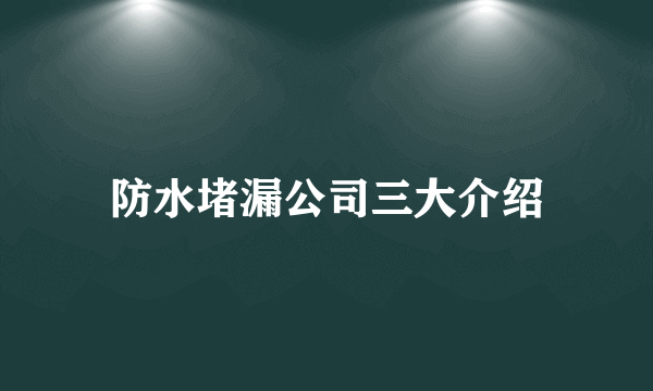 防水堵漏公司三大介绍