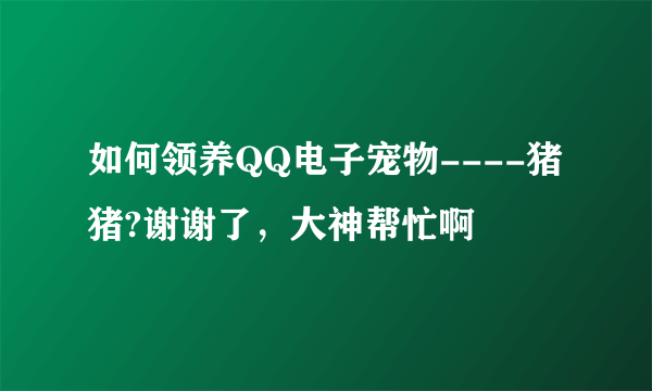 如何领养QQ电子宠物----猪猪?谢谢了，大神帮忙啊