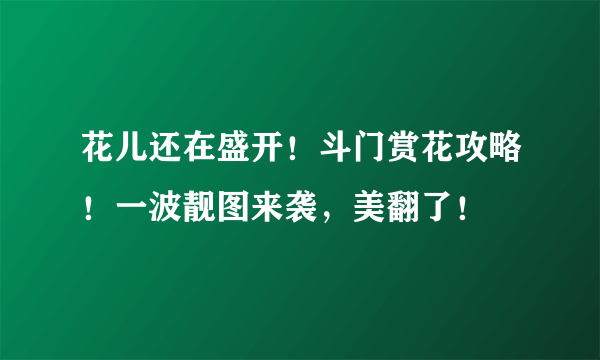 花儿还在盛开！斗门赏花攻略！一波靓图来袭，美翻了！