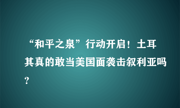 “和平之泉”行动开启！土耳其真的敢当美国面袭击叙利亚吗？