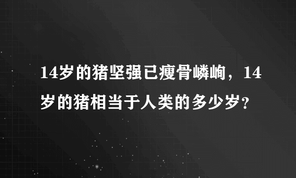 14岁的猪坚强已瘦骨嶙峋，14岁的猪相当于人类的多少岁？