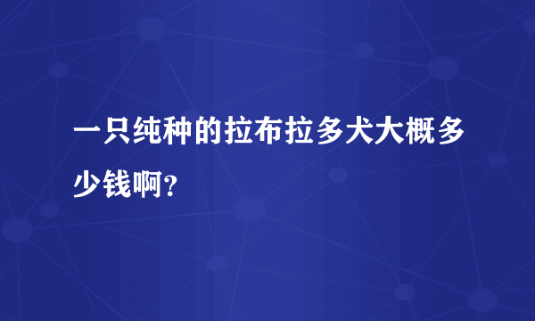 一只纯种的拉布拉多犬大概多少钱啊？