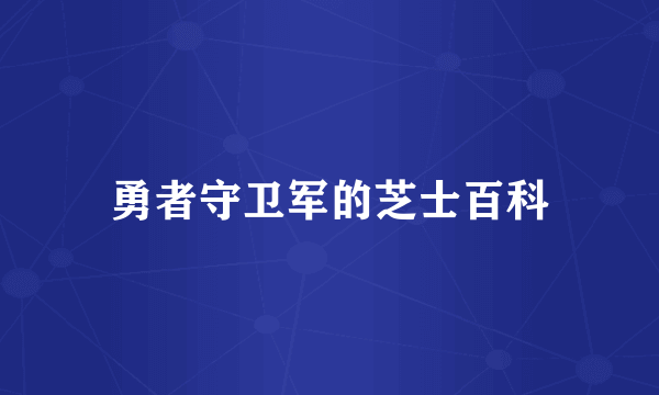 勇者守卫军的芝士百科