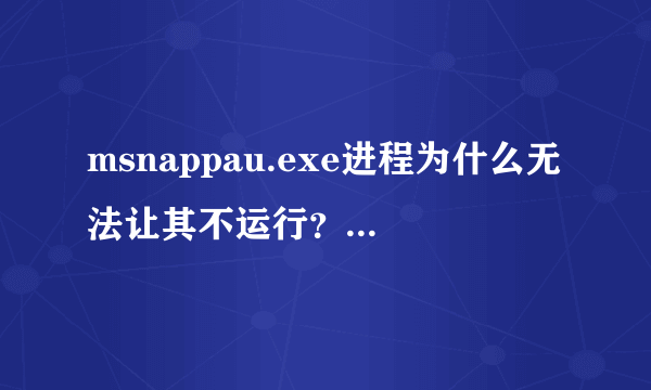 msnappau.exe进程为什么无法让其不运行？ 用过MSN的朋友请回答.