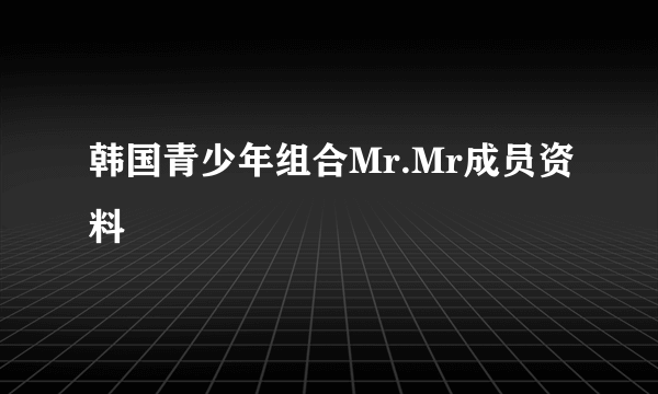 韩国青少年组合Mr.Mr成员资料