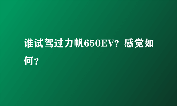 谁试驾过力帆650EV？感觉如何？