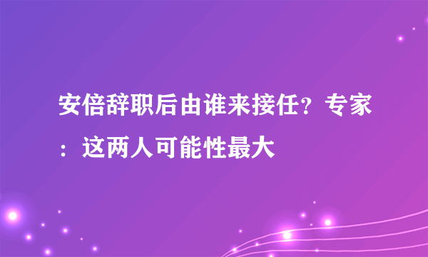 安倍辞职后由谁来接任？专家：这两人可能性最大