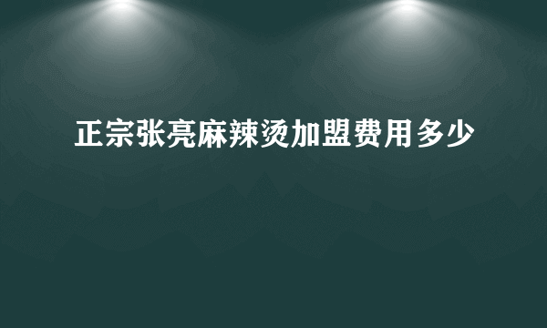 正宗张亮麻辣烫加盟费用多少