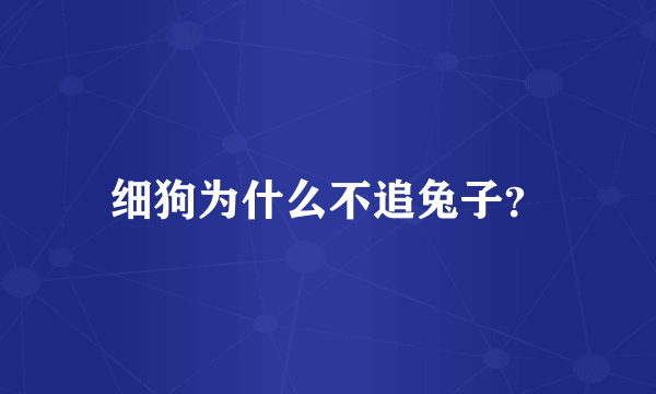 细狗为什么不追兔子？