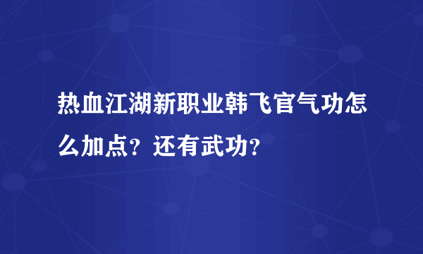 热血江湖新职业韩飞官气功怎么加点？还有武功？