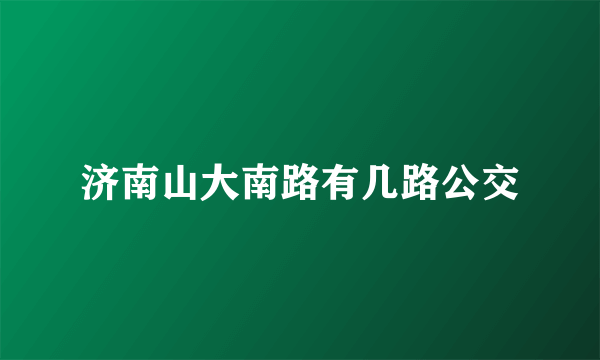 济南山大南路有几路公交