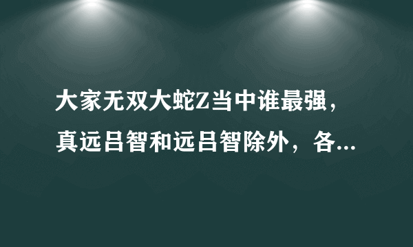 大家无双大蛇Z当中谁最强，真远吕智和远吕智除外，各方面分析。