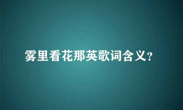 雾里看花那英歌词含义？