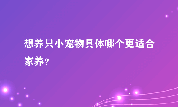 想养只小宠物具体哪个更适合家养？