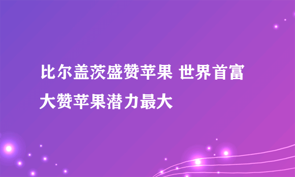 比尔盖茨盛赞苹果 世界首富大赞苹果潜力最大