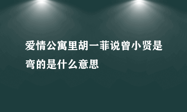 爱情公寓里胡一菲说曾小贤是弯的是什么意思