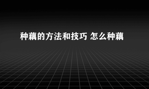 种藕的方法和技巧 怎么种藕