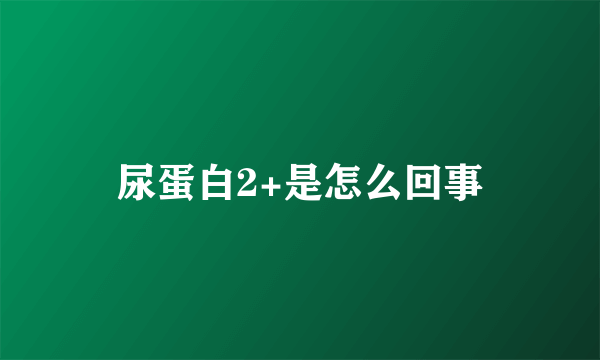 尿蛋白2+是怎么回事