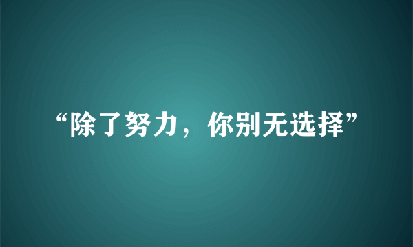 “除了努力，你别无选择”