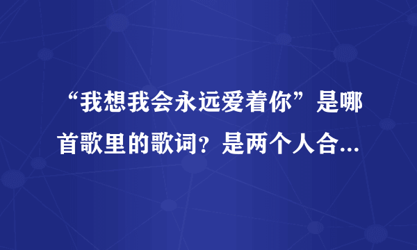 “我想我会永远爱着你”是哪首歌里的歌词？是两个人合唱的，一男一女