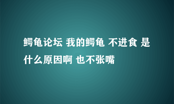 鳄龟论坛 我的鳄龟 不进食 是什么原因啊 也不张嘴